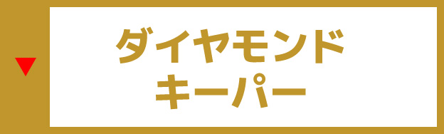 ダイアモンドキーパー