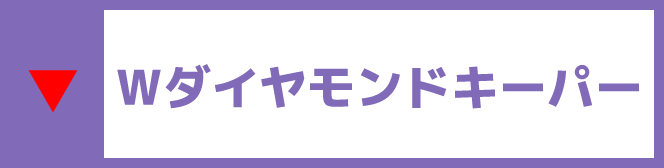 Wダイアモンドキーパー