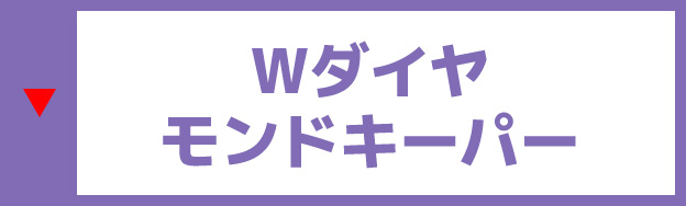 Wダイアモンドキーパー